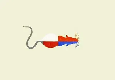 Illustration of a rat with red, white and blue sections